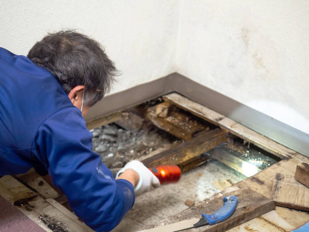 Best Crawl Space Mold Removal  in Tyndall, SD