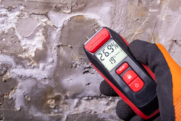 Best Toxic Mold Removal  in Tyndall, SD