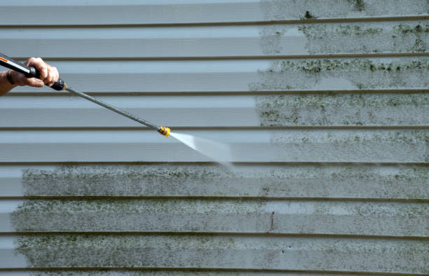 Best Office Mold Removal Services  in Tyndall, SD