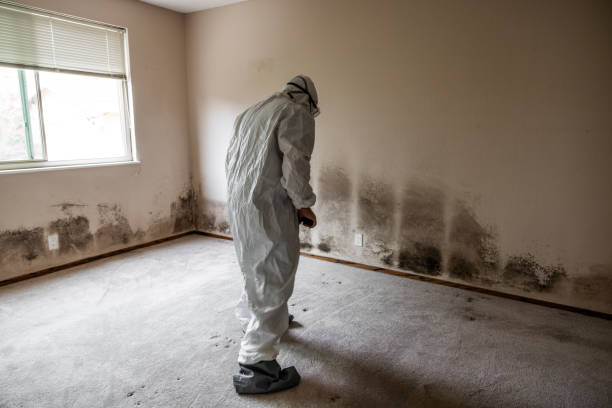 Best Mold Cleaning Services  in Tyndall, SD