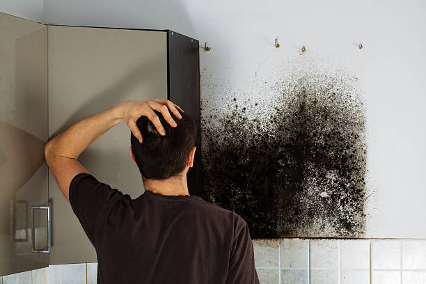 Best Emergency Mold Removal  in Tyndall, SD